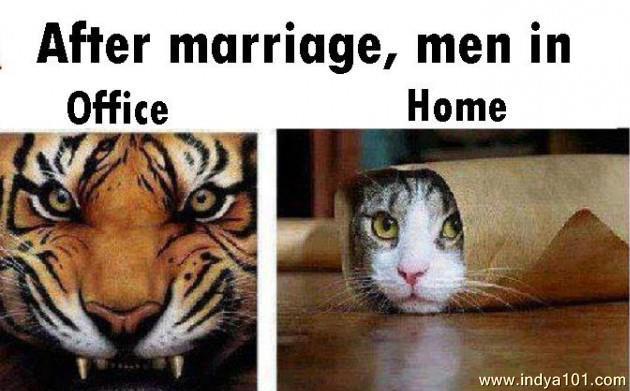 funny marriage changing