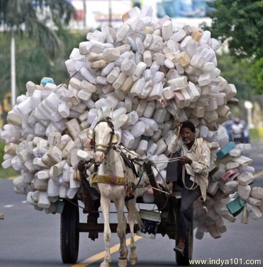 India, Funny cargo transportation