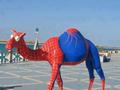 Spider camel