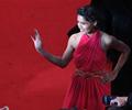 66th 2013 Cannes Film Festival
