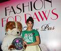 Jacqueline Fernandez Unveils PETA Campaign