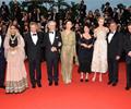 Vidya Balan At Cannes Film Festival