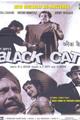 Black Cat Movie Poster