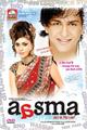 Aasma The Sky Is the Limit Movie Poster