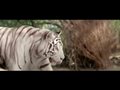 Roar -Tigers Of The Sundarbans - Theatrical Trailer