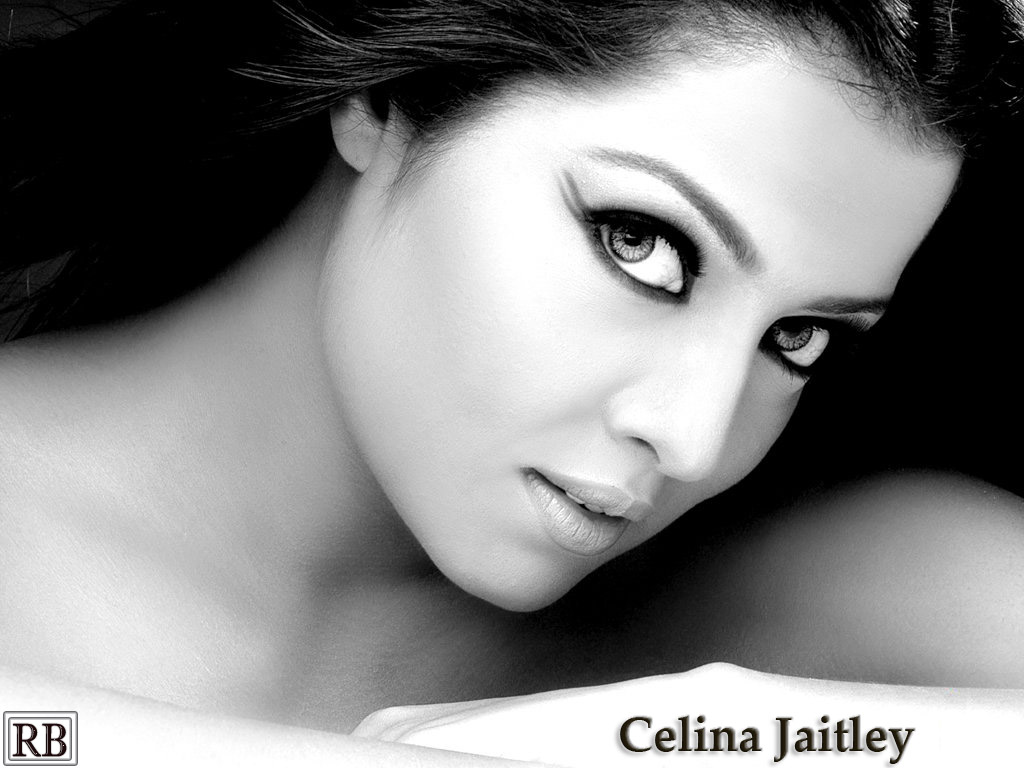 Celina Jaitley wallpaper - (1024x768) : Celina Jaitley wallpaper - (1024x768) :