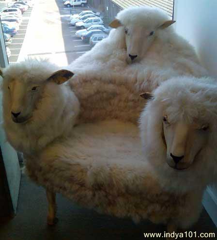 funny sofa set