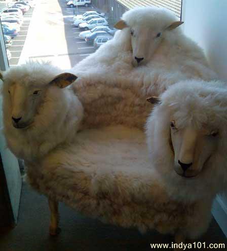 funny sofa set