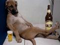 Relaxing after drink