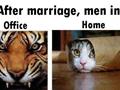 funny marriage changing