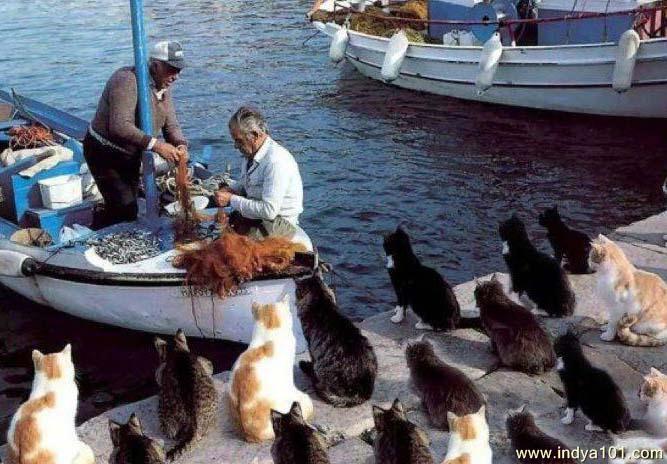 What a discipline