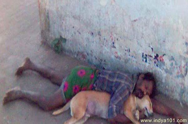 Sleeping with dog in street