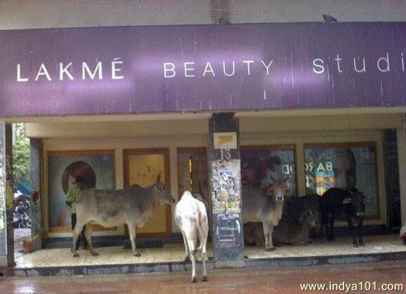 Lakme Beauty