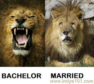 Bachelor vs. Married