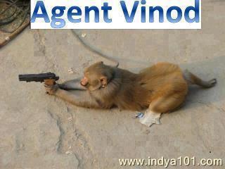 Agent vinod