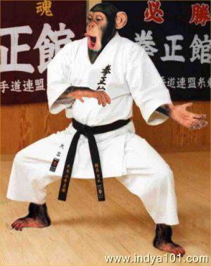 NEW JACKIE CHAN