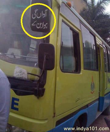 funny bus
