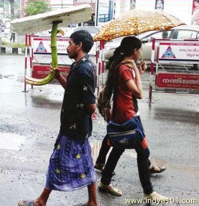 Indian Concept Umbrella India Funny