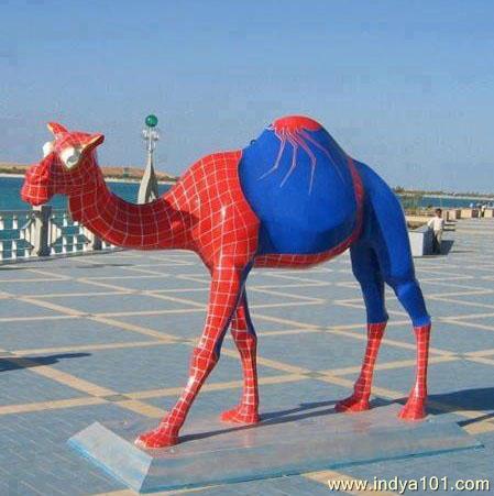 Spider camel