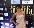 IIFA 2012 Green carpet for Bollywood divas