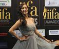 IIFA 2012 Green carpet for Bollywood divas