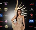 Bollywood Hot Celebrities At The IIFA Awards 2013 Green Carpet