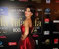 Bollywood Hot Celebrities At The IIFA Awards 2013 Green Carpet