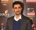 Celebs At 19th Annual Colors Screen Awards 2013