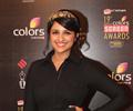 Celebs At 19th Annual Colors Screen Awards 2013