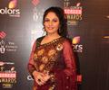 Celebs At 19th Annual Colors Screen Awards 2013