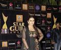 Celebs At Renault Star Guild Awards 2013