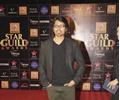 Celebs At Renault Star Guild Awards 2013