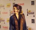 Celebs at 58th Idea Filmfare Awards 2013