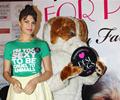 Jacqueline Fernandez Unveils PETA Campaign