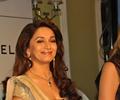 Madhuri Dixit at Launch of ‘Emerald Elephants’ in India