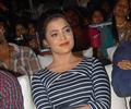 Nisha Agarwal Hot And Sexy Pics At Saradaga Ammayitho Audio Release