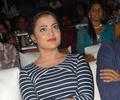 Nisha Agarwal Hot And Sexy Pics At Saradaga Ammayitho Audio Release