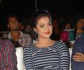 Nisha Agarwal Hot And Sexy Pics At Saradaga Ammayitho Audio Release