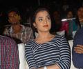 Nisha Agarwal Hot And Sexy Pics At Saradaga Ammayitho Audio Release