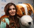 Raveena Tandon and Gulshan Grover Promote ‘Peta India''