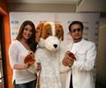 Raveena Tandon and Gulshan Grover Promote ‘Peta India''