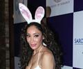 Sofia Hayat Birthday Celebrations