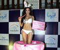 Sofia Hayat Birthday Celebrations