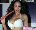 Sofia Hayat Birthday Celebrations