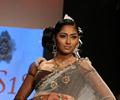 Sonal Chauhan Ramp Walk at IIJW 2011