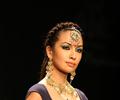 Top Models Ramp Walk on Day 3 of IIJW 2011