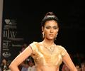 Top Models Ramp Walk on Day 3 of IIJW 2011