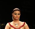 Top Models Ramp Walk on Day 3 of IIJW 2011