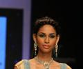 Top Models Ramp Walk on Day 3 of IIJW 2011