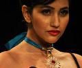 Top models Ramp Walk at IIJW 2011